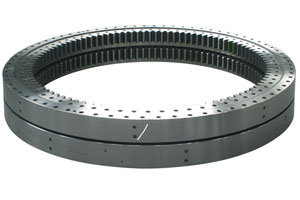 Wind Turbine Bearing