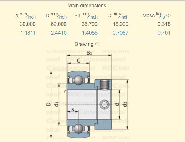 RAE 30 NPPB Bearings SIZE 